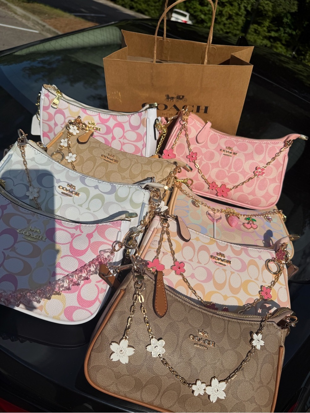Coach Floral Charm Shoulder Pouches in Pink, Tan, White